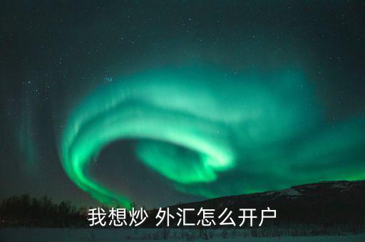 我想炒 外匯怎么開(kāi)戶