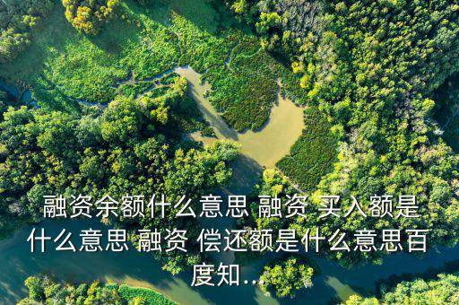 融資買(mǎi)入額怎么償還,融資買(mǎi)入股票的規(guī)則
