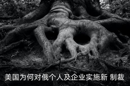 美國為何對(duì)俄個(gè)人及企業(yè)實(shí)施新 制裁