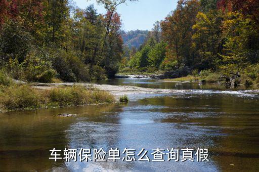 電話車(chē)險(xiǎn)怎么分辨真假,如何查看車(chē)險(xiǎn)真假?