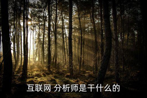 賣(mài)方分析師是怎么干的,互聯(lián)網(wǎng)分析師由專業(yè)人士轉(zhuǎn)行當(dāng)分析員