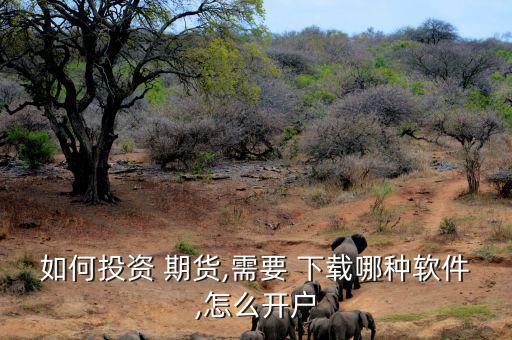 如何投資 期貨,需要 下載哪種軟件,怎么開(kāi)戶(hù)