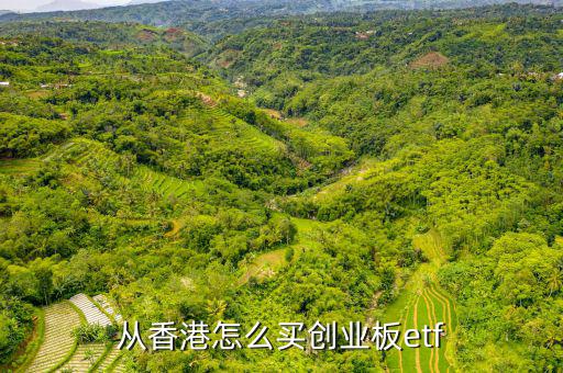 從香港怎么買創(chuàng)業(yè)板e(cuò)tf