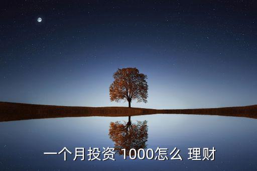  一個月投資 1000怎么 理財(cái)