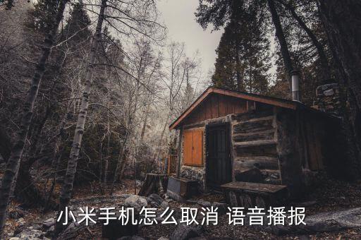  小米手機(jī)怎么取消 語音播報