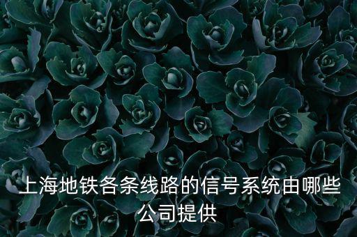 上海地鐵各條線(xiàn)路的信號(hào)系統(tǒng)由哪些公司提供