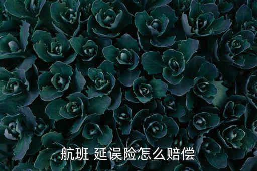 去哪兒延誤險(xiǎn)怎么理賠,flight延誤保險(xiǎn)申請理賠方法如下