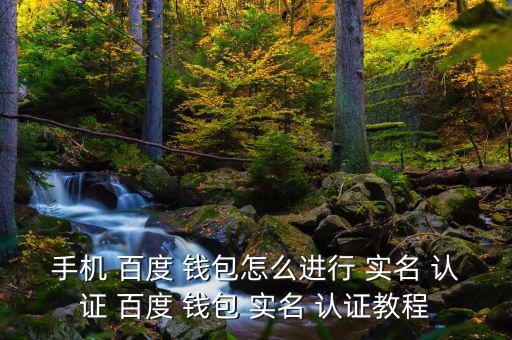 手機(jī) 百度 錢包怎么進(jìn)行 實名 認(rèn)證 百度 錢包 實名 認(rèn)證教程