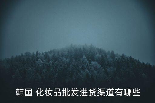  韓國 化妝品批發(fā)進貨渠道有哪些