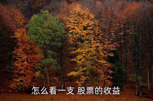 股票怎么看凈賺,股市的每個細(xì)節(jié)