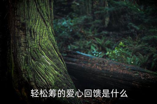  輕松籌的愛(ài)心回饋是什么