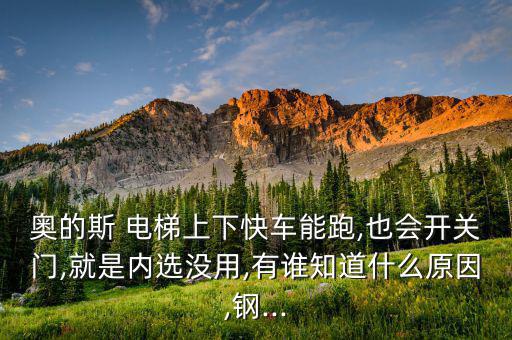 奧的斯 電梯上下快車能跑,也會(huì)開關(guān)門,就是內(nèi)選沒用,有誰(shuí)知道什么原因,鋼...