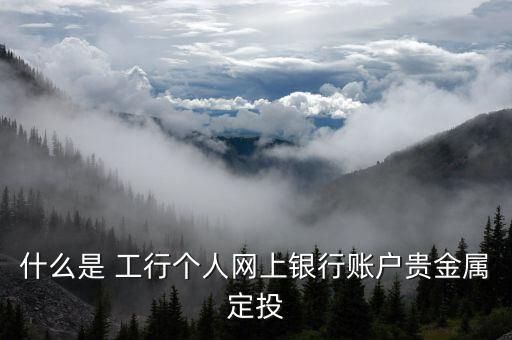 什么是 工行個人網上銀行賬戶貴金屬定投