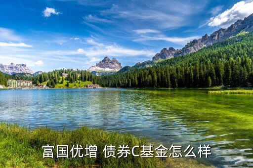 嘉實債券怎么樣,短債基金包括諾安債券、友邦短債、嘉實超短債