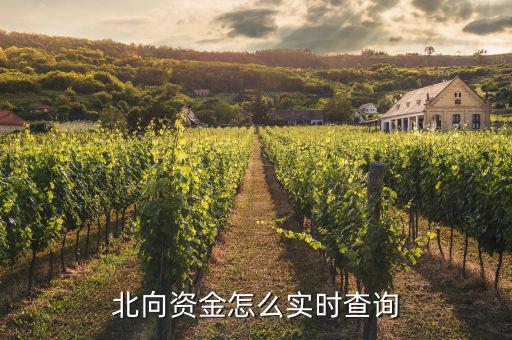 北向資金怎么實時查詢