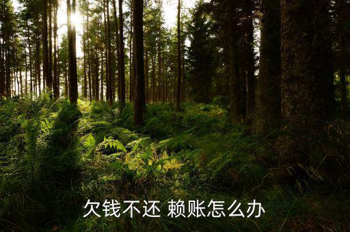 銀行賴賬怎么辦,民事起訴狀:被告姓名性別、年齡、職業(yè)等
