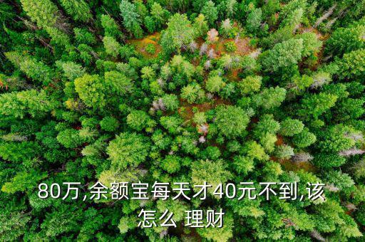 80萬,余額寶每天才40元不到,該怎么 理財(cái)