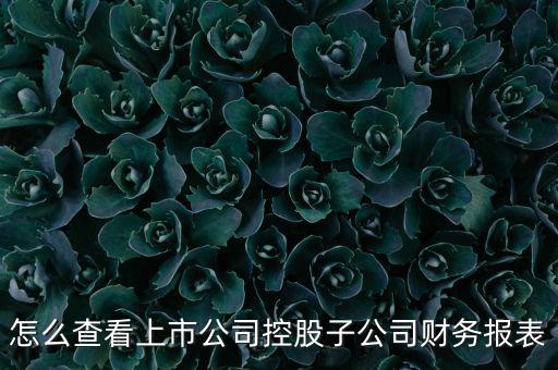 怎么查看上市公司控股子公司財務(wù)報表