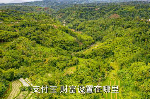  支付寶 財富設(shè)置在哪里