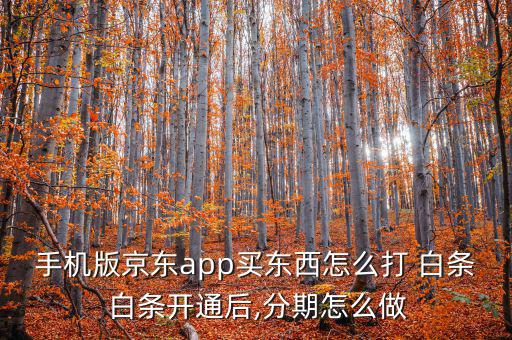 手機(jī)版京東app買(mǎi)東西怎么打 白條 白條開(kāi)通后,分期怎么做