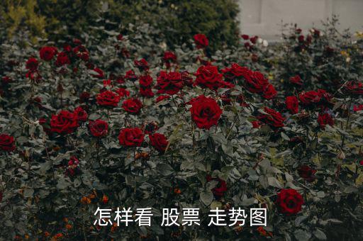 怎么看股票走勢(shì)圖圖解,k線(xiàn)圖一般稱(chēng)為主圖，包含k線(xiàn)和均線(xiàn)