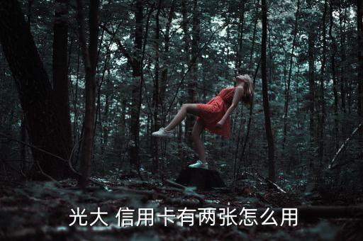  光大 信用卡有兩張怎么用