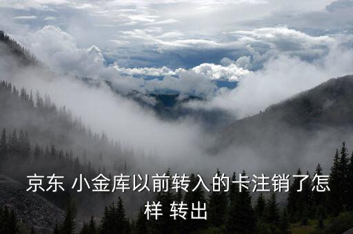  京東 小金庫(kù)以前轉(zhuǎn)入的卡注銷了怎樣 轉(zhuǎn)出