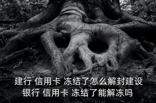  建行 信用卡 凍結(jié)了怎么解封建設銀行 信用卡 凍結(jié)了能解凍嗎