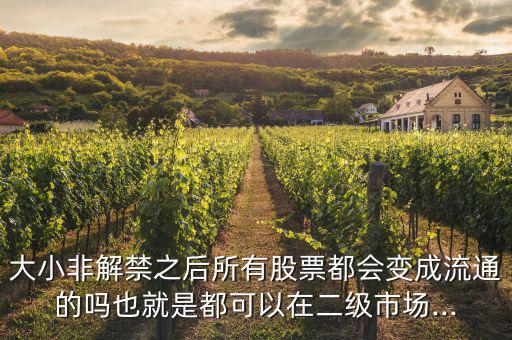 大小非解禁之后所有股票都會(huì)變成流通的嗎也就是都可以在二級(jí)市場...