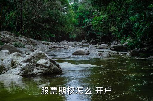 國債期貨怎么開戶,開立股票期權交易賬戶需滿足以下條件