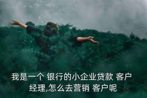 我是一個(gè) 銀行的小企業(yè)貸款 客戶(hù) 經(jīng)理,怎么去營(yíng)銷(xiāo) 客戶(hù)呢