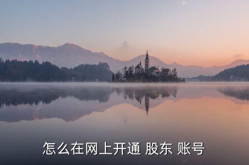怎么在網(wǎng)上開通 股東 賬號(hào)