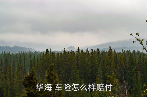 華海車(chē)險(xiǎn)怎么樣有買(mǎi)過(guò)的嗎,華海車(chē)險(xiǎn)怎么付?理賠流程大致一樣