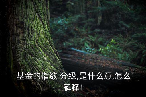  基金的指數 分級,是什么意,怎么解釋!