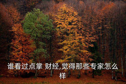 誰(shuí)看過(guò)點(diǎn)掌 財(cái)經(jīng),覺(jué)得那些專家怎么樣