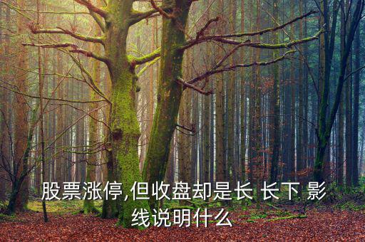  股票漲停,但收盤卻是長(zhǎng) 長(zhǎng)下 影線說明什么