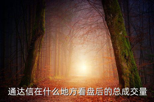  通達(dá)信在什么地方看盤(pán)后的總成交量