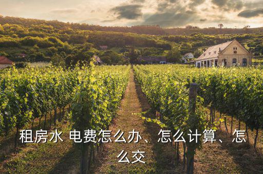 租房水 電費(fèi)怎么辦、怎么計(jì)算、怎么交