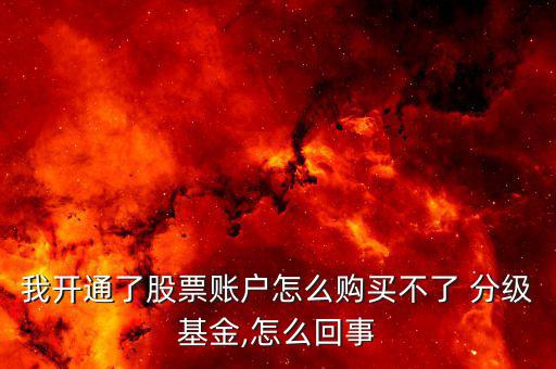 我開通了股票賬戶怎么購買不了 分級基金,怎么回事