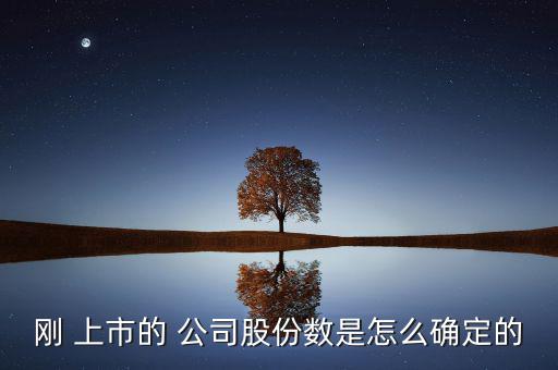 公司上市股價(jià)怎么定,新股上市首日開(kāi)盤漲20%