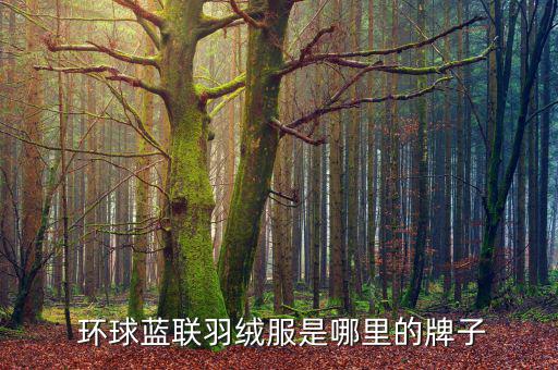 環(huán)球藍(lán)聯(lián)卡怎么填寫(xiě)