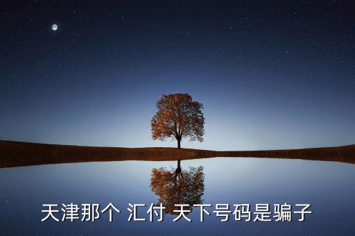 天津那個(gè) 匯付 天下號碼是騙子