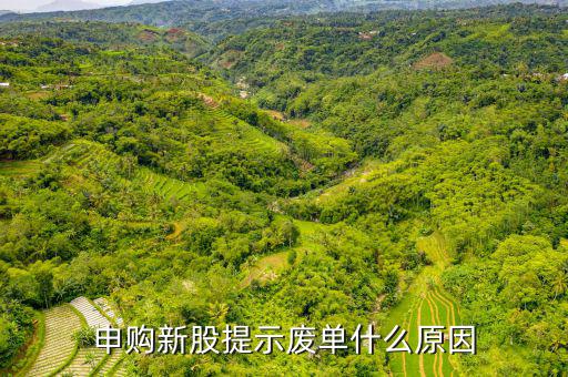 新股申購為什么是廢單，定價申購新股為什么總提示是廢單