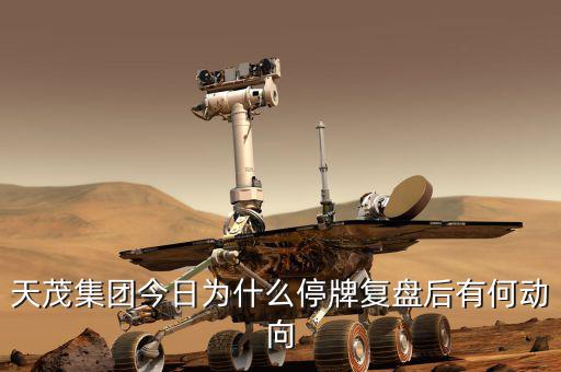 天茂集團什么時候開盤，天茂集團今日為什么停牌復(fù)盤后有何動向