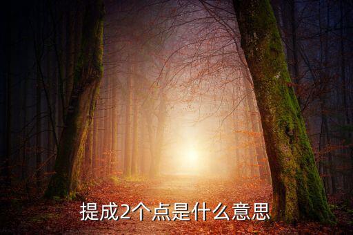 提成2個點(diǎn)是什么意思