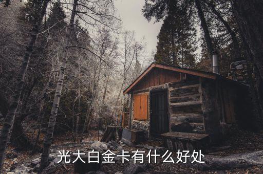 光大微稅聯(lián)白金卡有什么好處，光大銀行白金卡的好處我提供本人的100平以上的房產(chǎn)證和作為法人
