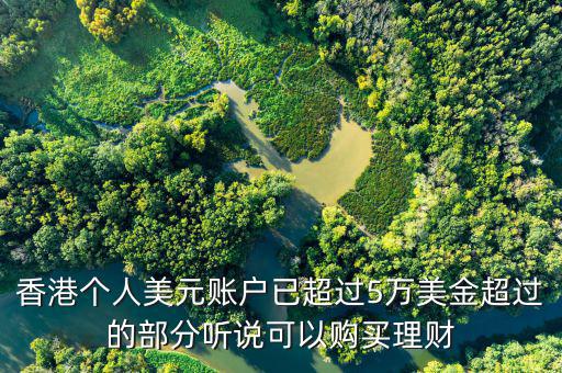 美元在香港投資什么比較好，香港個人美元賬戶已超過5萬美金超過的部分聽說可以購買理財