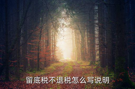 退抵稅說明書怎么寫,退稅抵稅申請確認書、小額退稅憑證