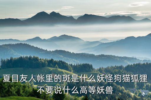 什么是棄風(fēng)限電，什么是理想非極化電極