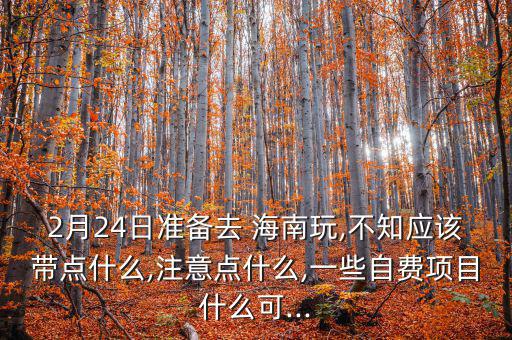 2月24日準(zhǔn)備去 海南玩,不知應(yīng)該帶點什么,注意點什么,一些自費(fèi)項目什么可...